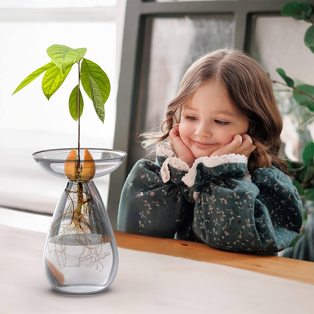 Propagation Station Vase - Avocado Seed Starter Vase Transparent Plant