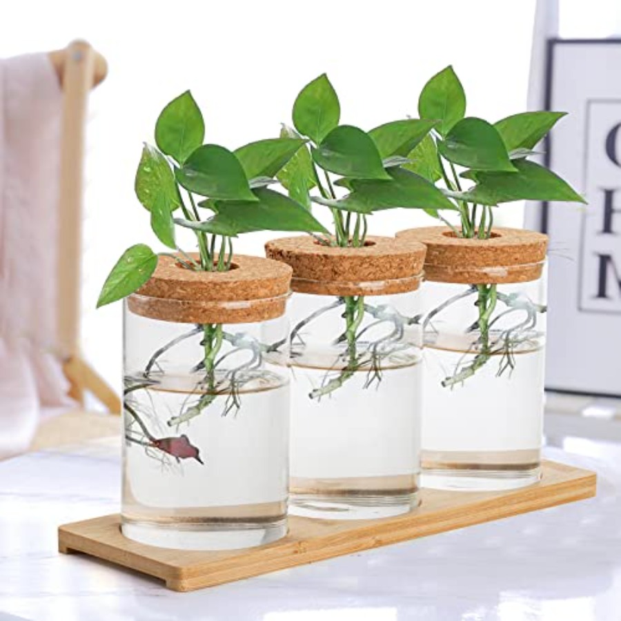 3 Pcs Plant Terrarium Propagat – Propagation Station Vase recenzja i cena