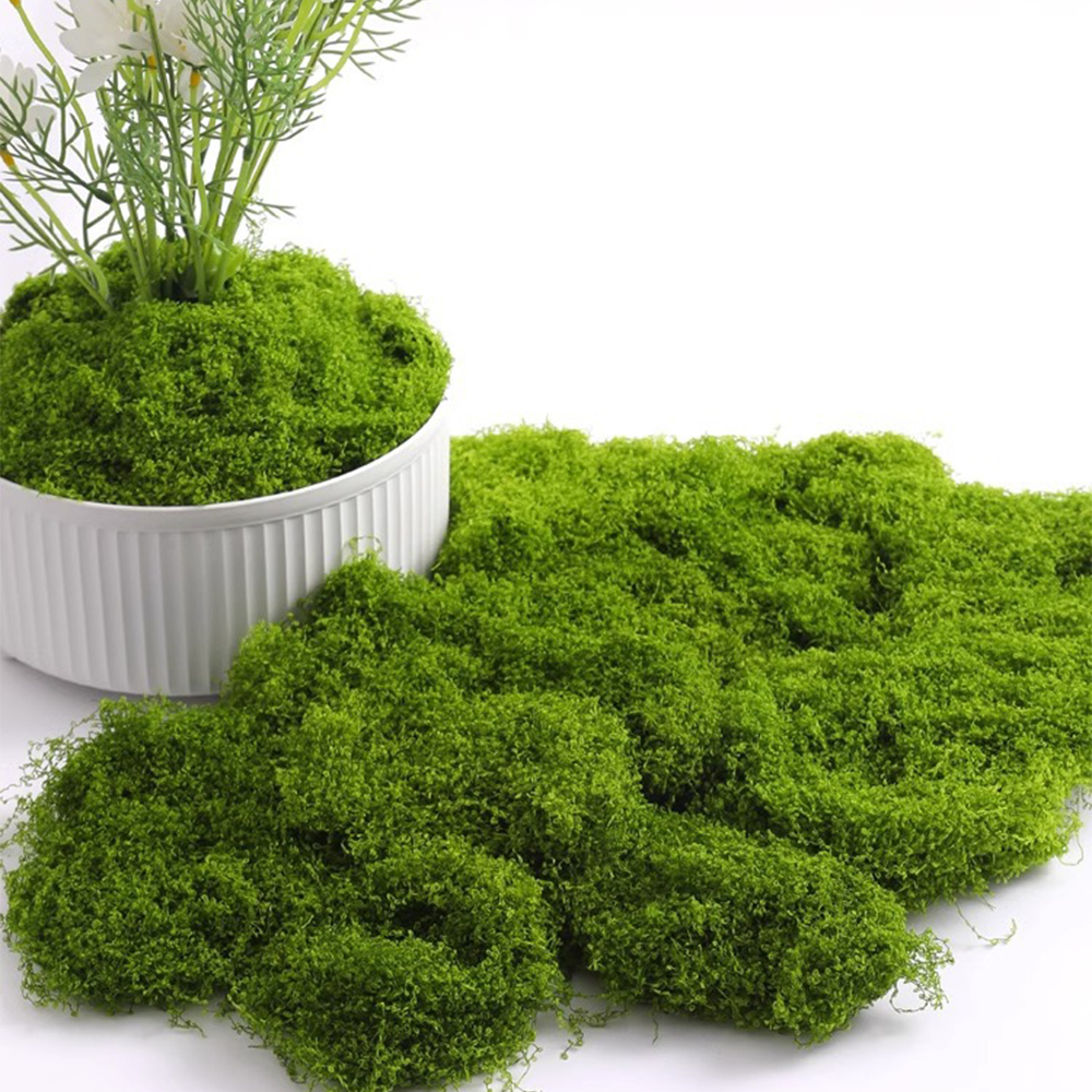 Eternal Life Moss DIY Crafts G – Sphagnum Moss Dry recenzja i cena