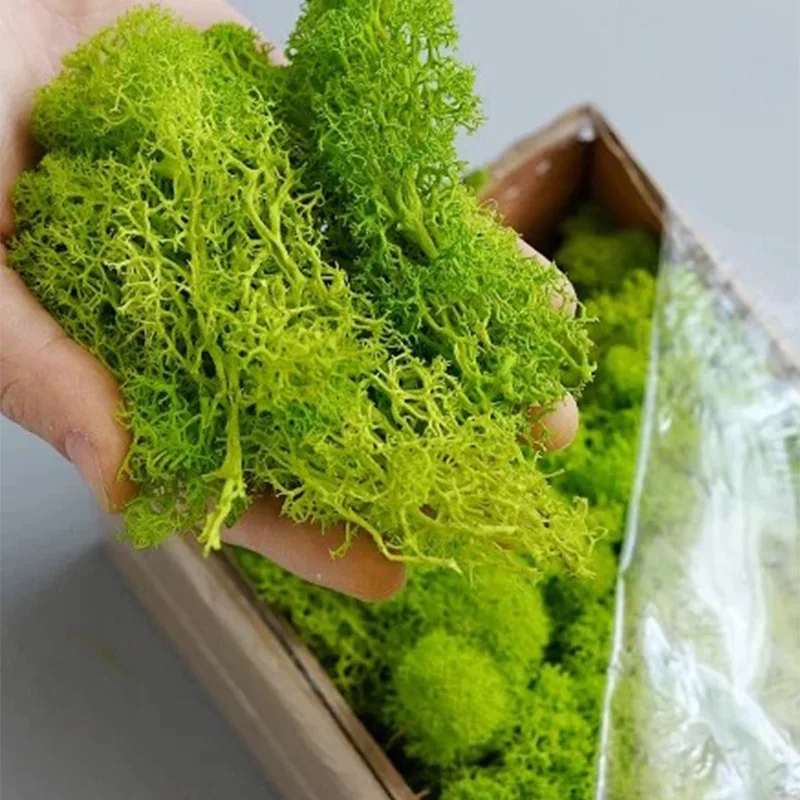 20-200g Artificial Green Plant – Sphagnum Moss Dry recenzja i cena