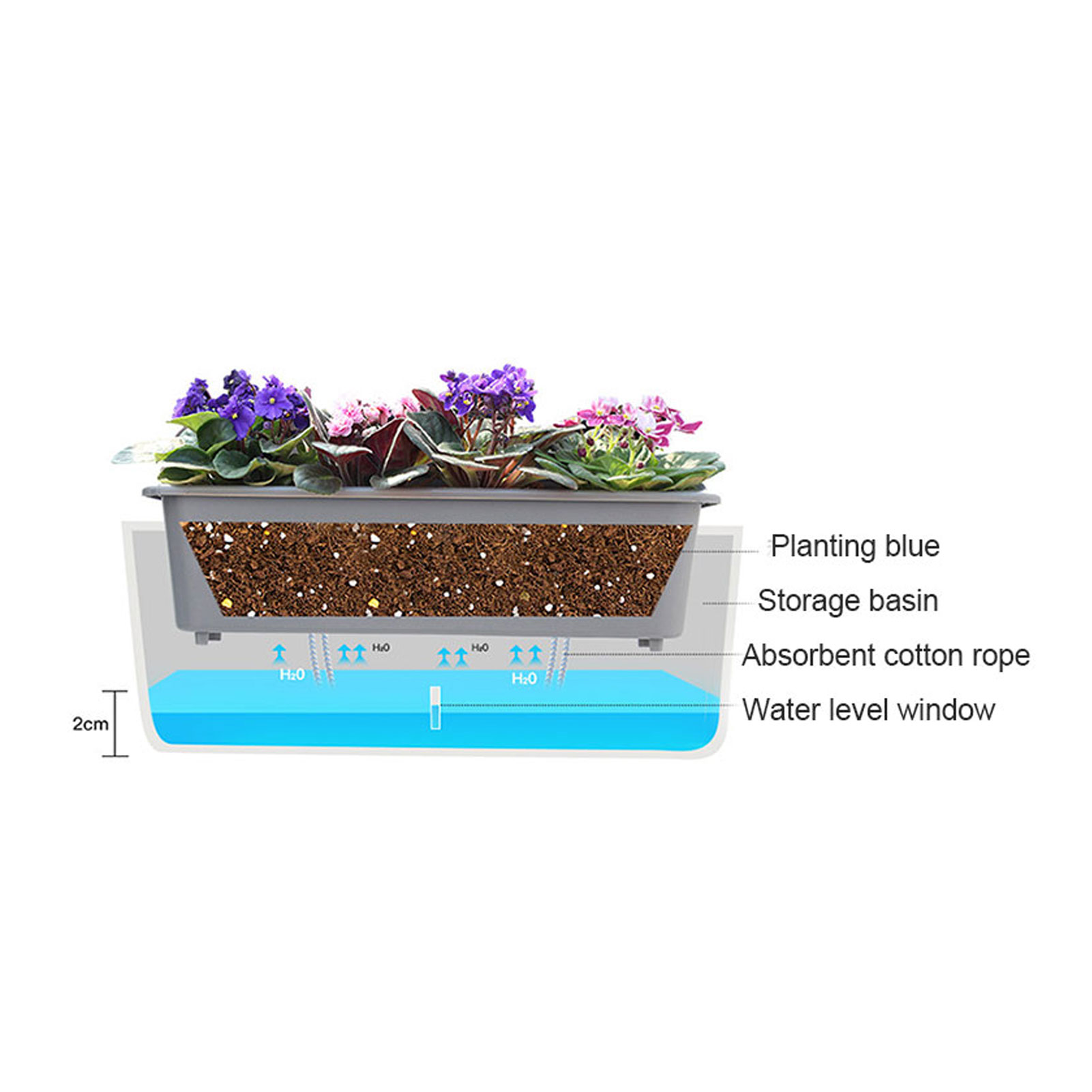 Self-Watering Planter Pots wit – Self Watering Insert recenzja i cena