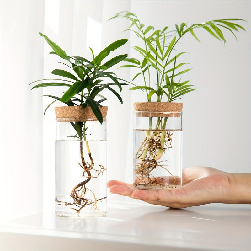 1pc, Hydroponics Plants Deskto – Propagation Station Vase recenzja i cena