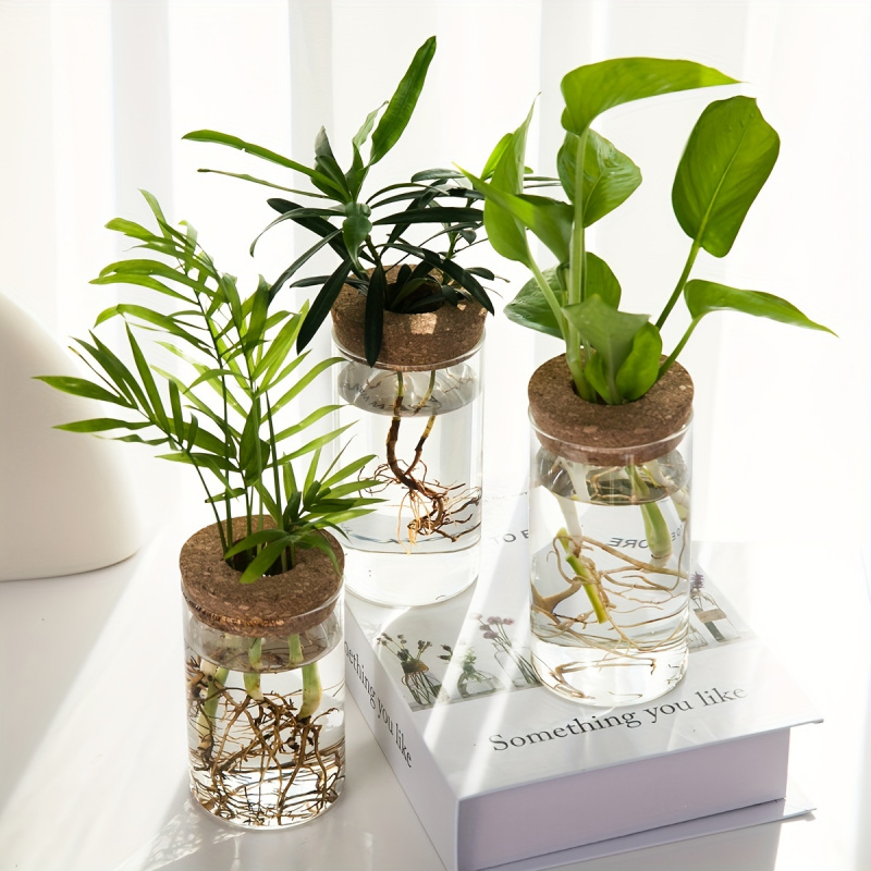 1pc, Hydroponics Plants Deskto – Propagation Station Vase recenzja i cena