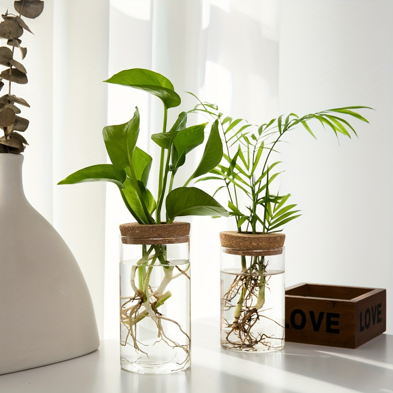 1pc, Hydroponics Plants Deskto – Propagation Station Vase recenzja i cena