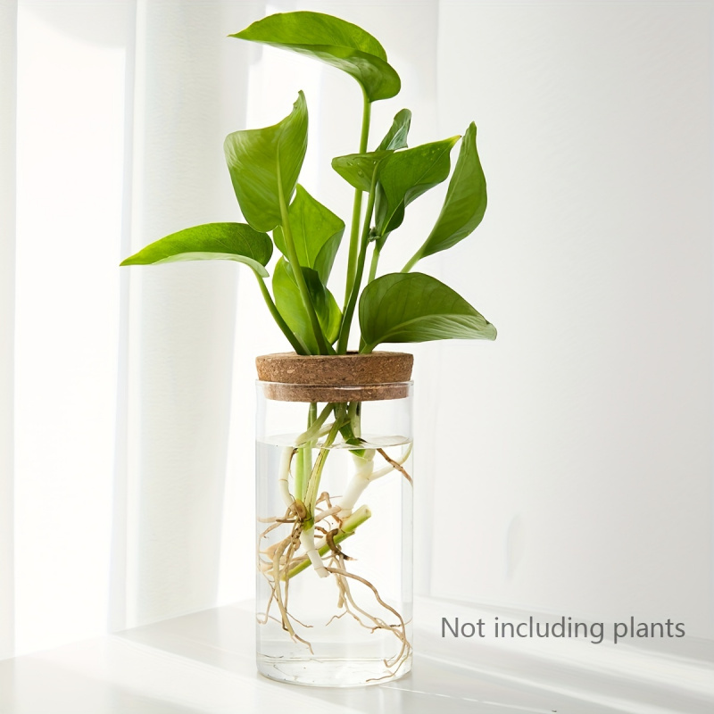 1pc, Hydroponics Plants Deskto – Propagation Station Vase recenzja i cena
