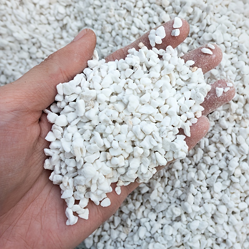 1 Bag 3-6 mm Gardening Perlite – Sphagnum Moss Dry recenzja i cena