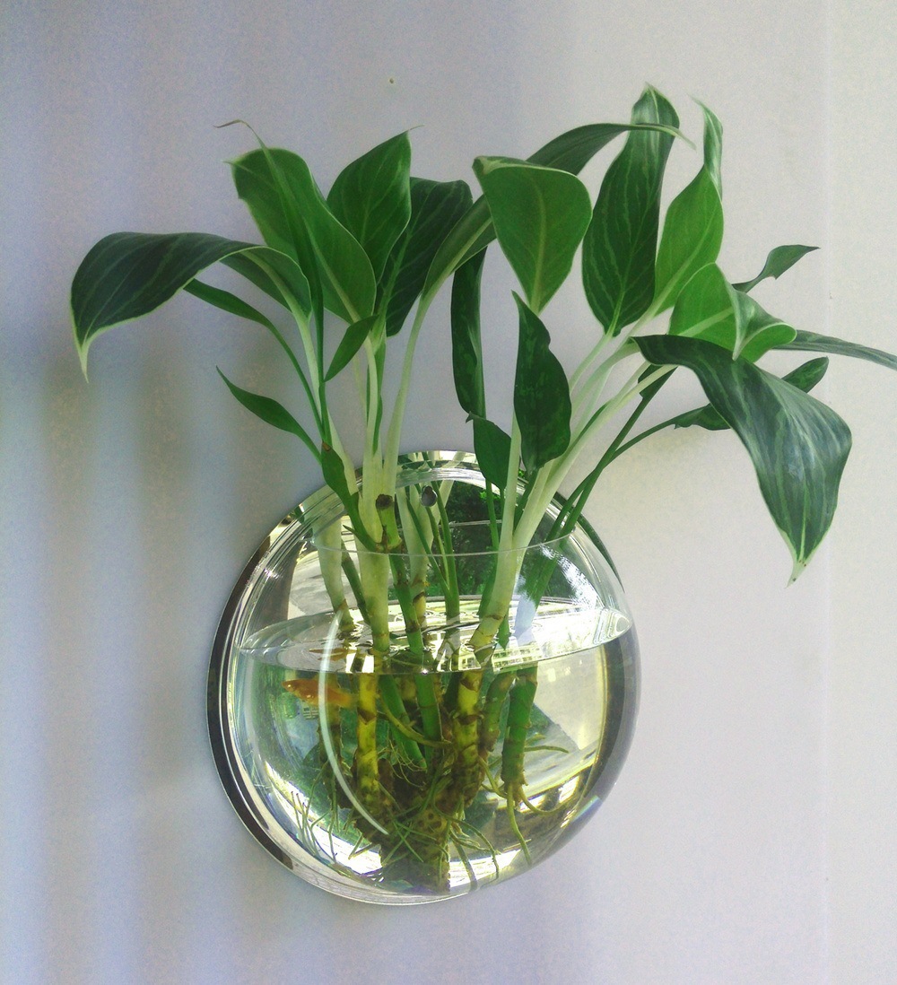 Glass Wall-Mounted Plant Green – Propagation Station Vase recenzja i cena