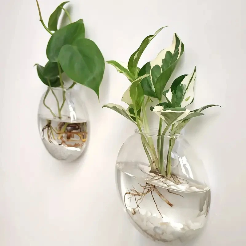 Glass Wall-Mounted Plant Green – Propagation Station Vase recenzja i cena
