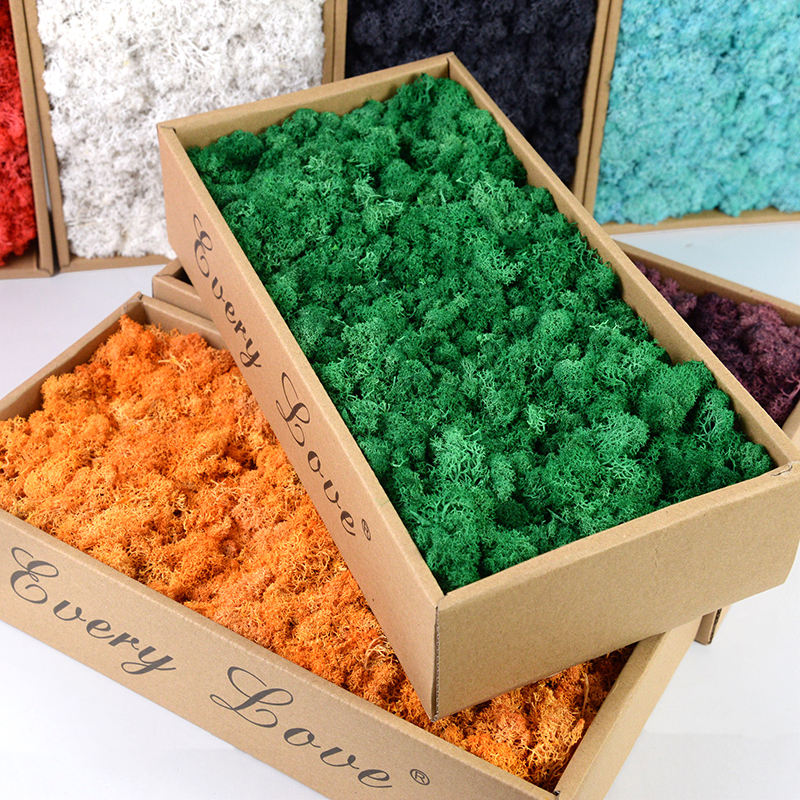 40/20g Artificial Immortal Mos – Sphagnum Moss Dry recenzja i cena