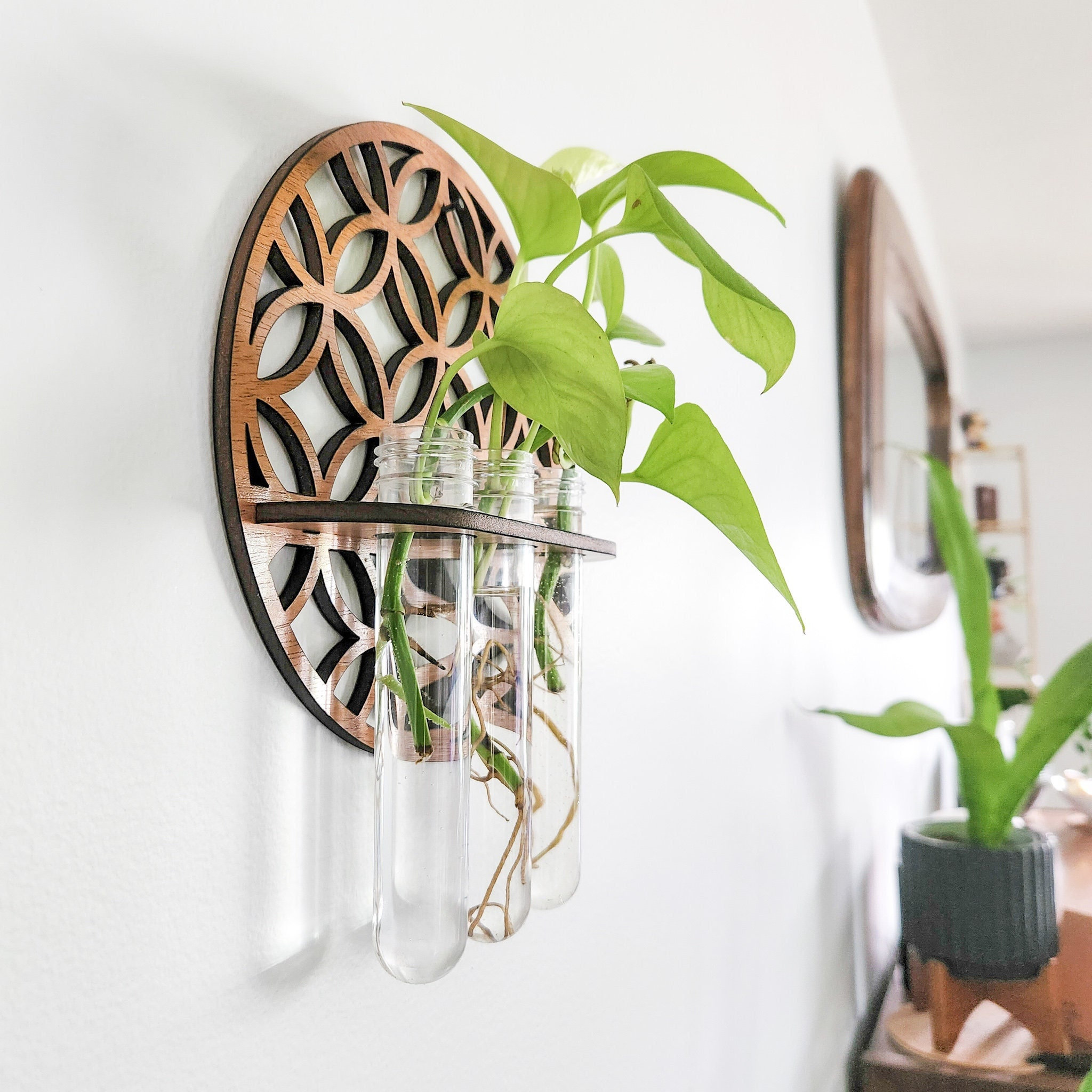 Garden Wall Planters Indoor Wo – Propagation Station Vase recenzja i cena