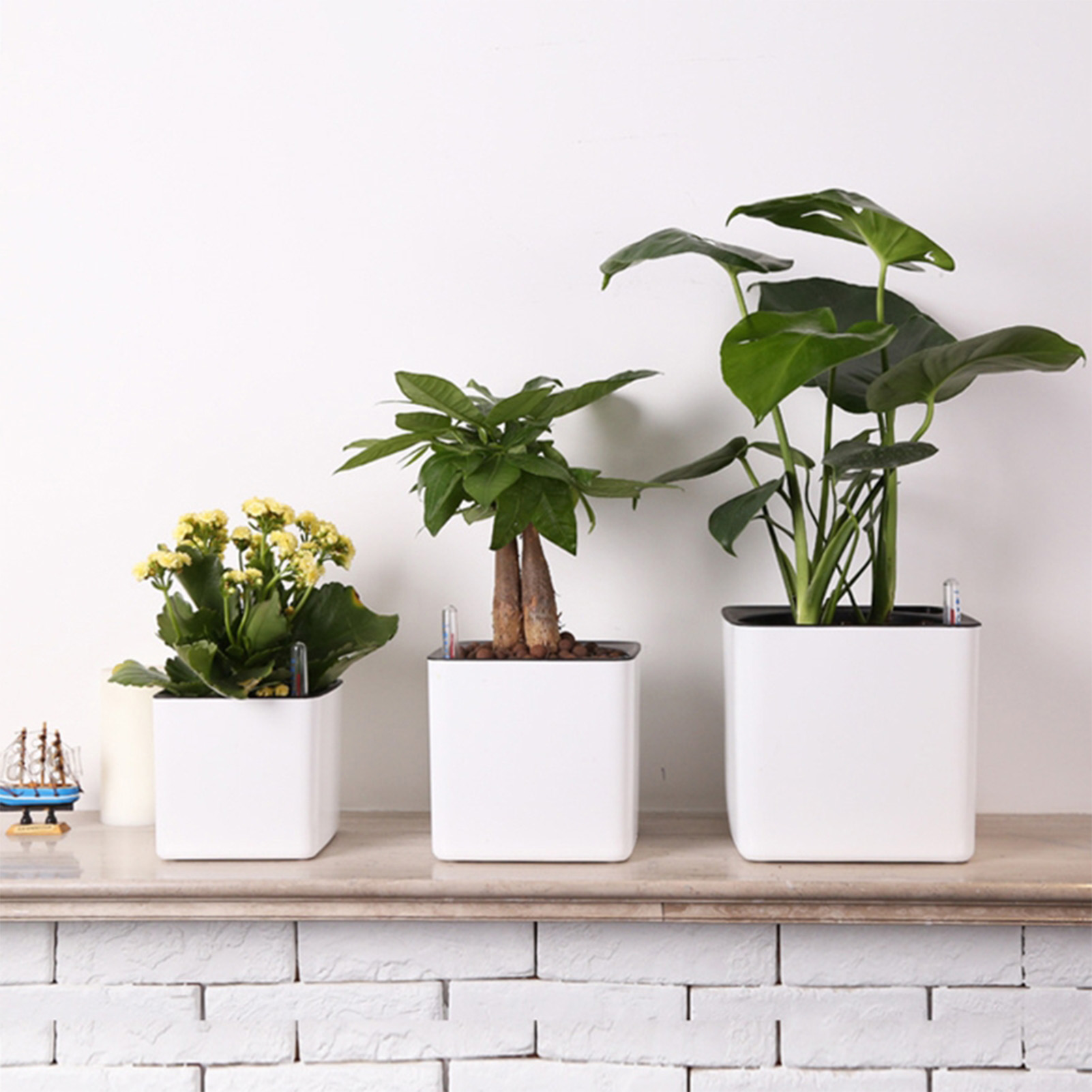 3 size Lazy flowerpot Green Pl – Self Watering Insert recenzja i cena