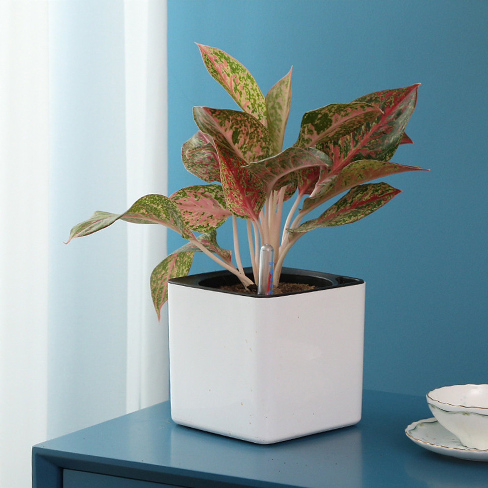 3 size Lazy flowerpot Green Pl – Self Watering Insert recenzja i cena