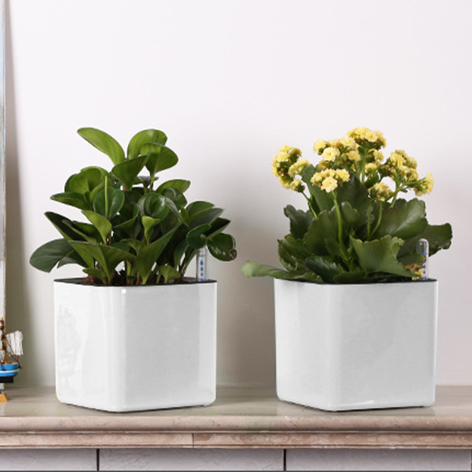 3 size Lazy flowerpot Green Pl – Self Watering Insert recenzja i cena