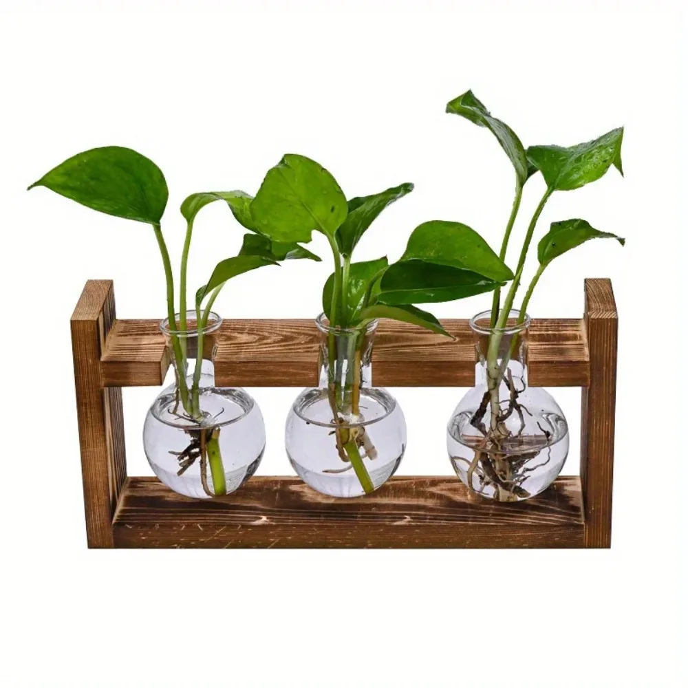 Tabletop Glass Planter Propaga – Propagation Station Vase recenzja i cena