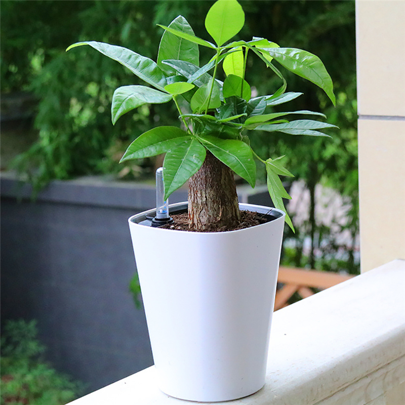 Self-Watering Planter Green Pl – Self Watering Insert recenzja i cena