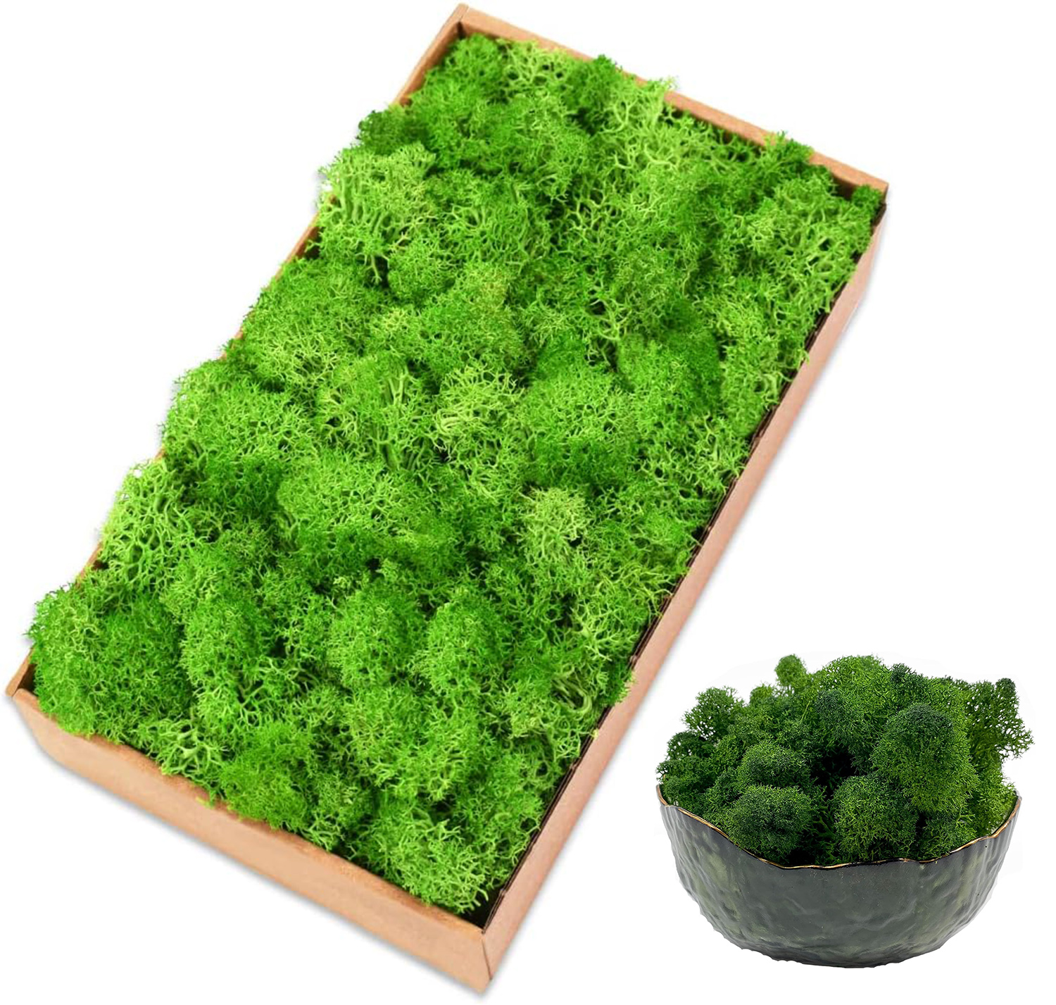 Eternal Life Moss Artificial G – Sphagnum Moss Dry recenzja i cena
