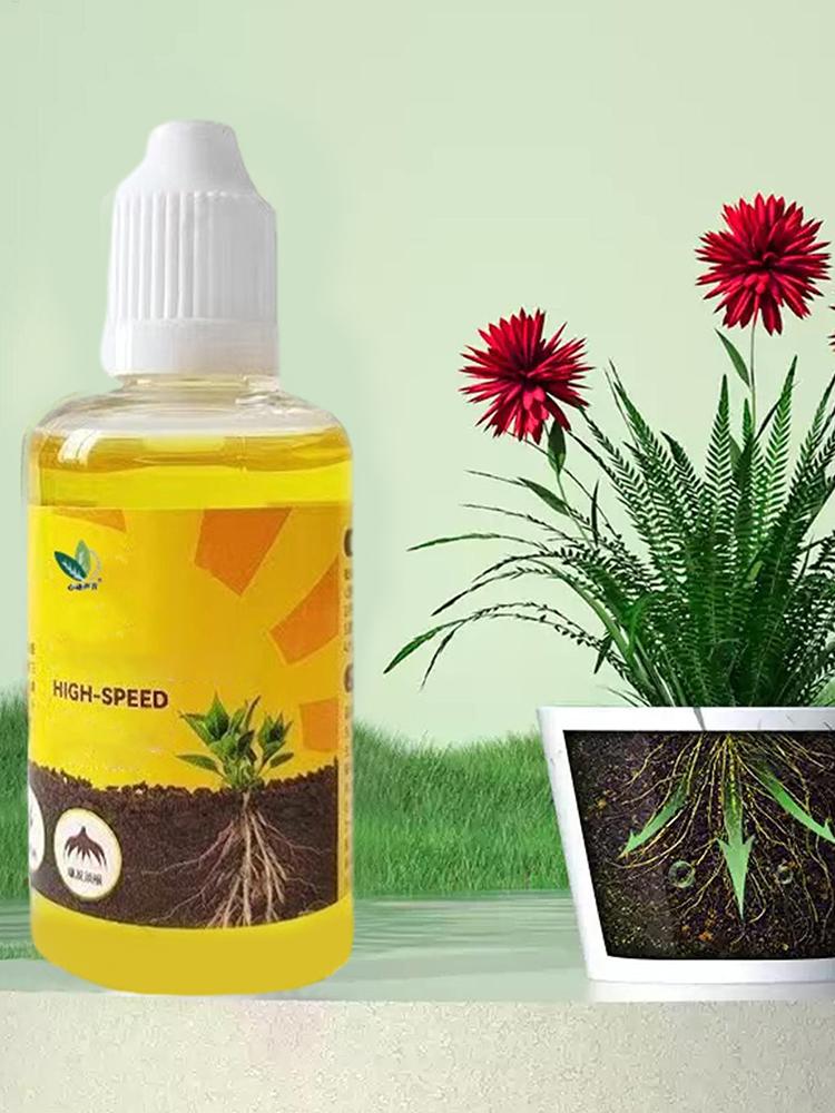 Plant Rooting Stimulator Liqui – Root Stimulator Liquid recenzja i cena