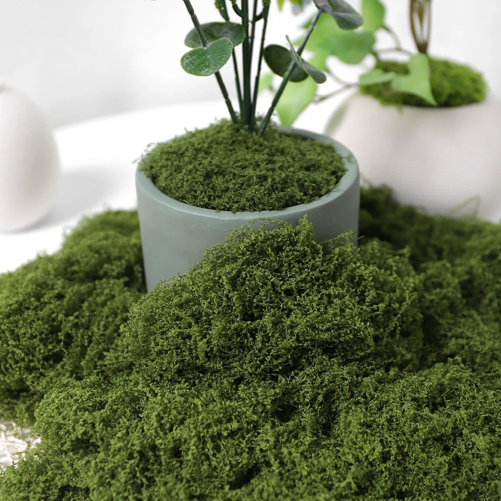 30/50/100g Artificial Green Pl – Sphagnum Moss Dry recenzja i cena
