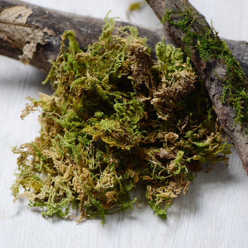 100g High Quality Artificial M – Sphagnum Moss Dry recenzja i cena