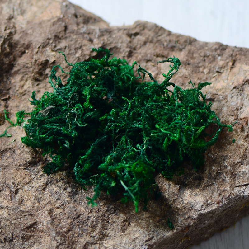 100g High Quality Artificial M – Sphagnum Moss Dry recenzja i cena