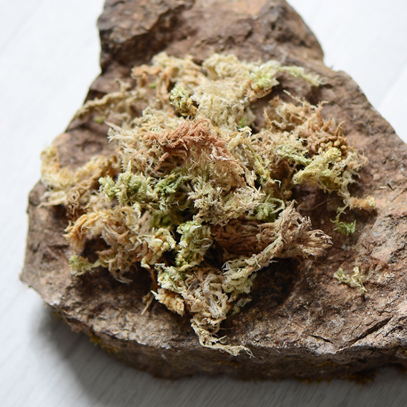 100g High Quality Artificial M – Sphagnum Moss Dry recenzja i cena