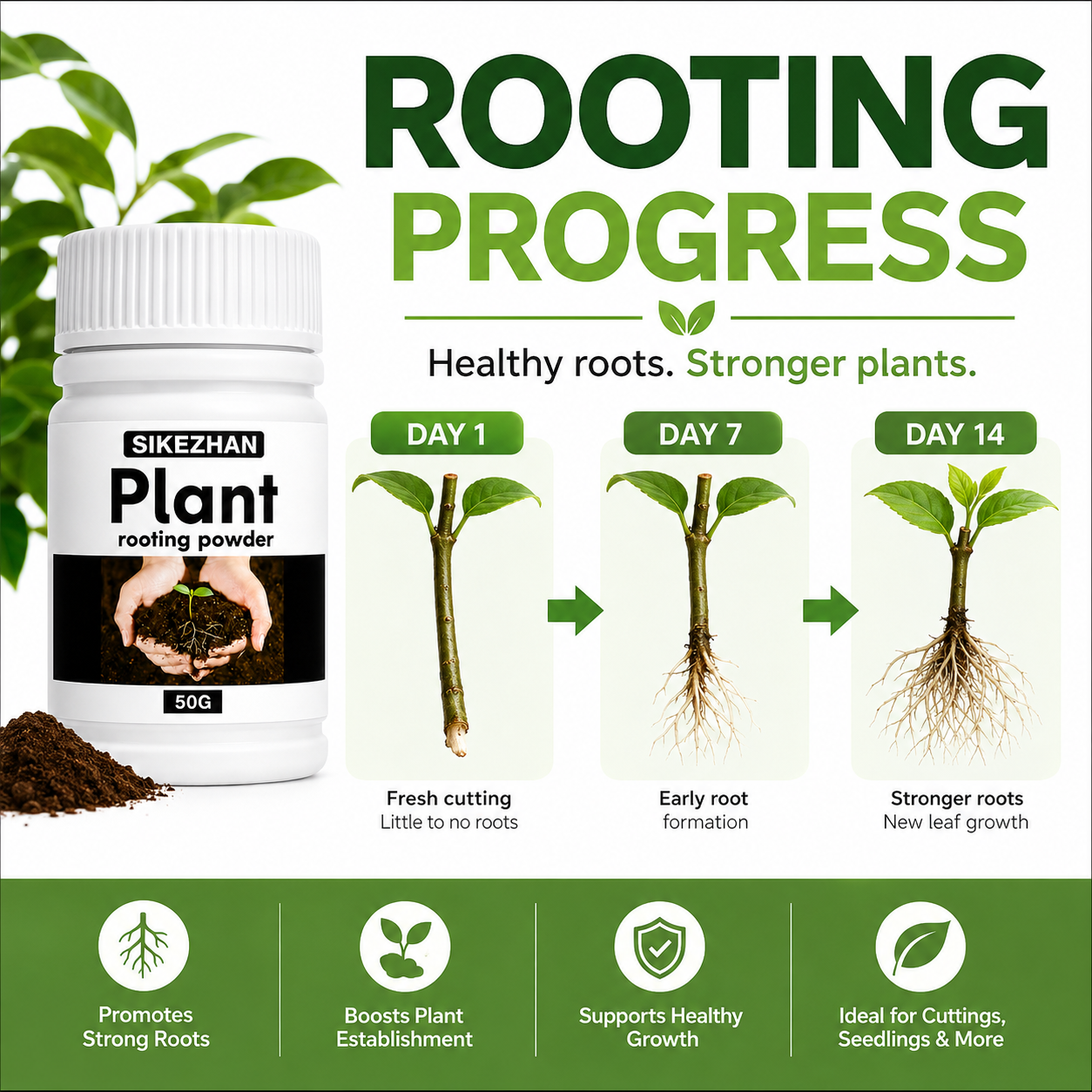 50g Rapid Rooting Powder Plant – Rooting Hormone Powder recenzja i cena