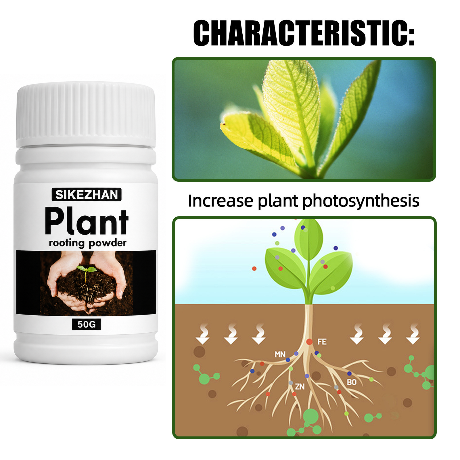 50g Rapid Rooting Powder Plant – Rooting Hormone Powder recenzja i cena