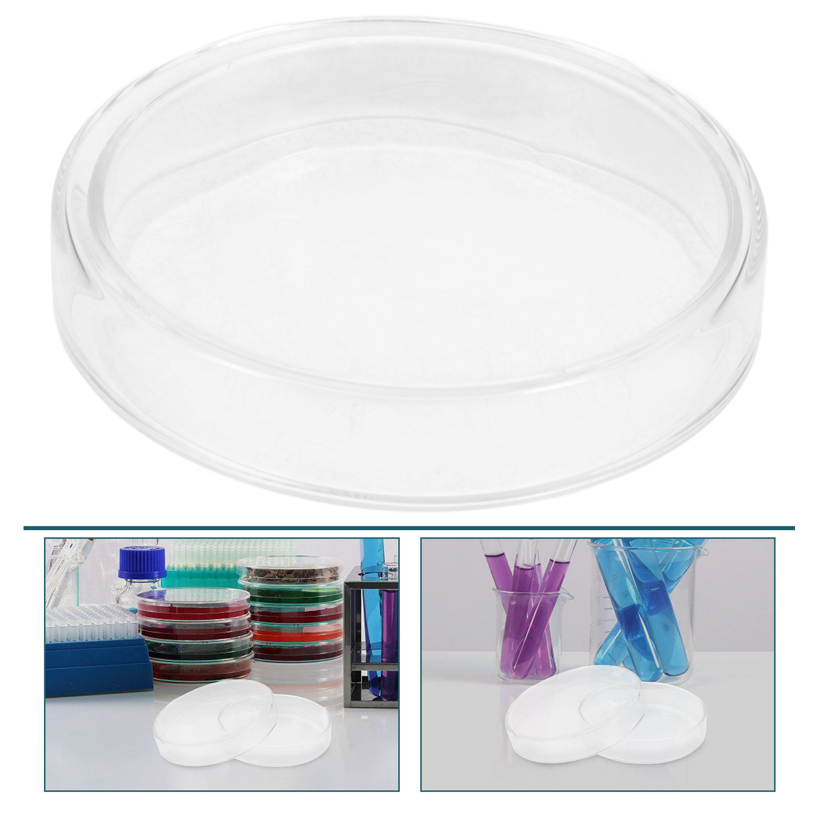High Borosilicate Glass Petri  – Agar Tissue Culture recenzja i cena