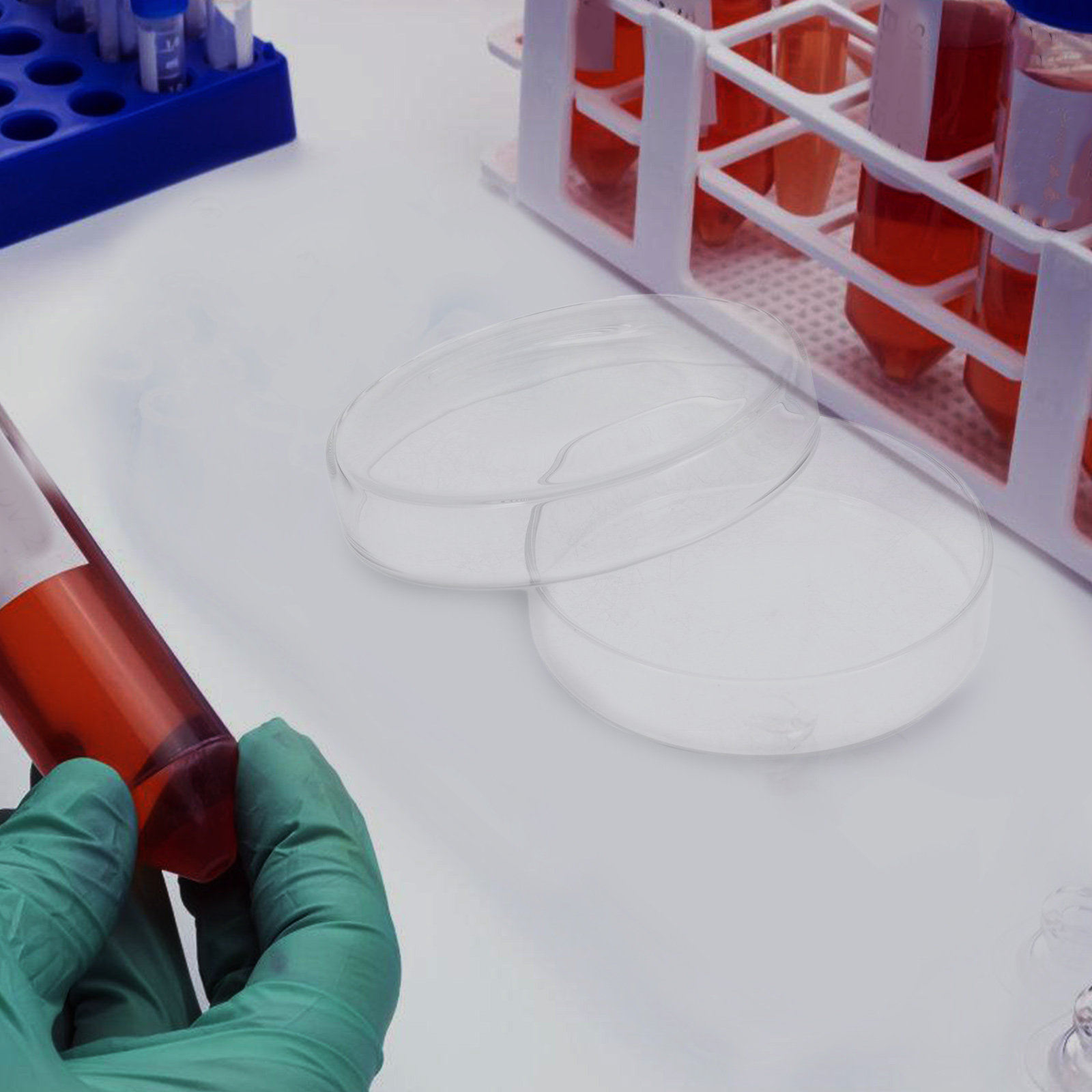 High Borosilicate Glass Petri  – Agar Tissue Culture recenzja i cena