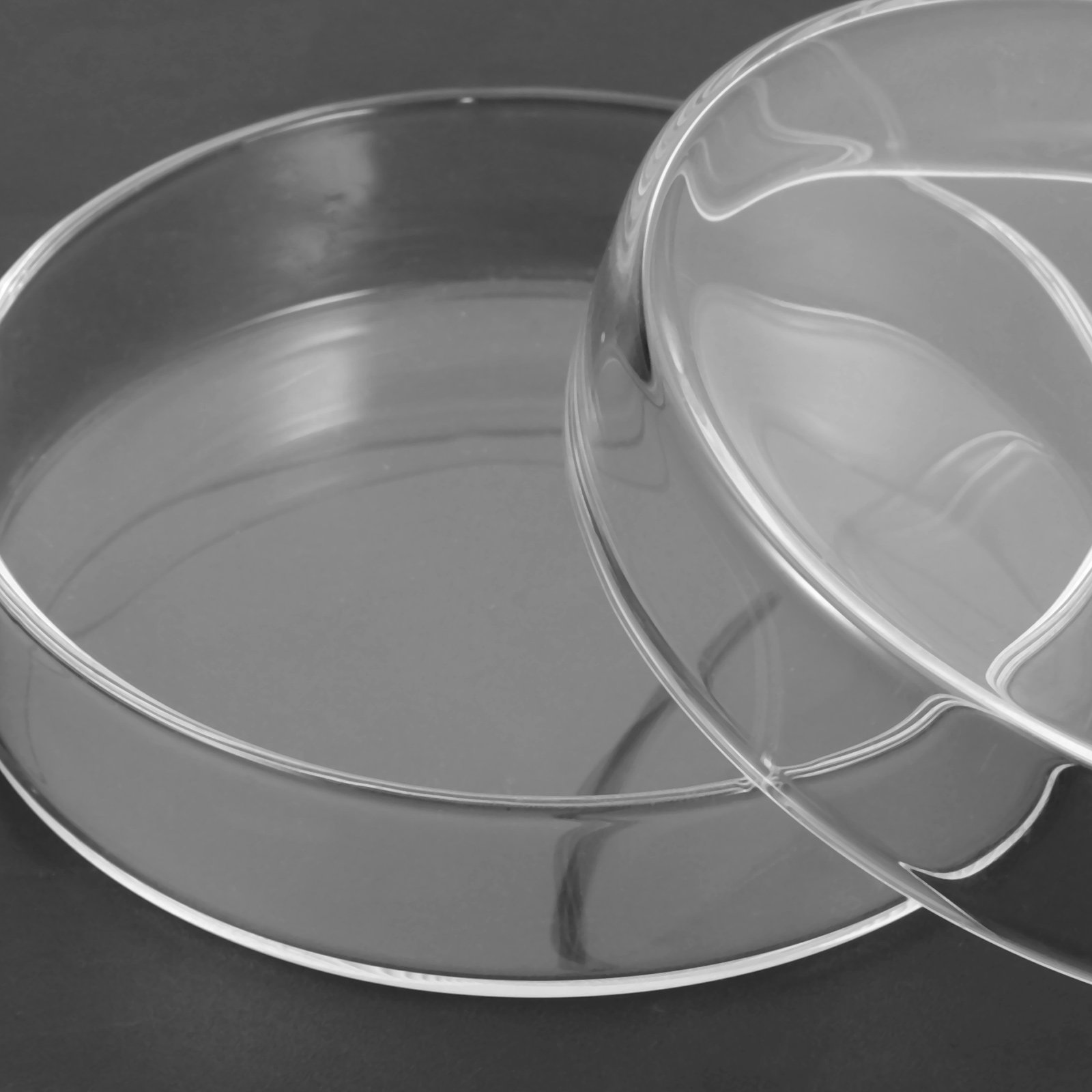 High Borosilicate Glass Petri  – Agar Tissue Culture recenzja i cena