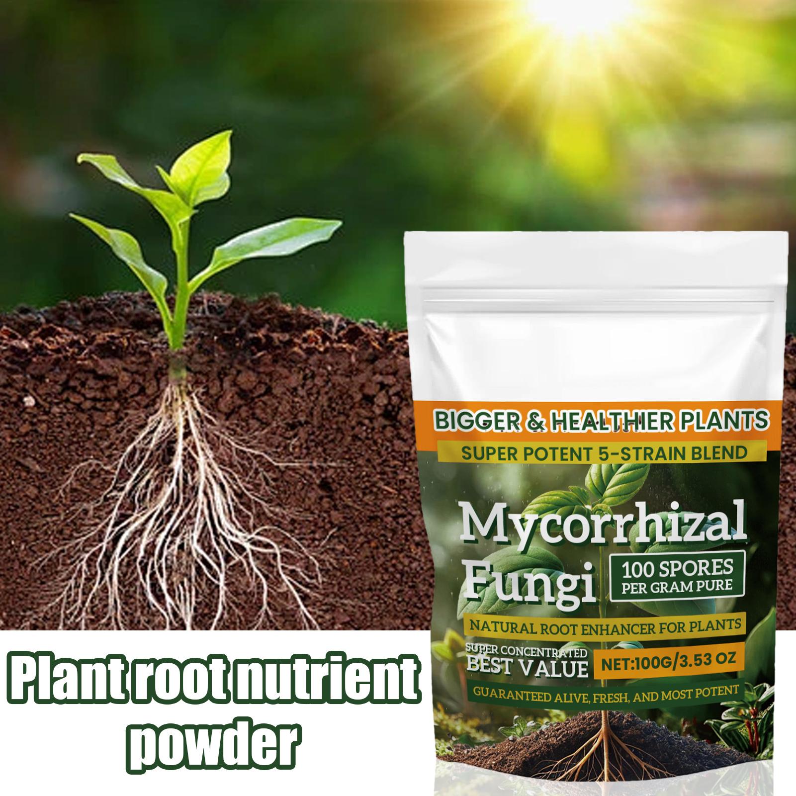 100g Plant Nutrient Powder Pla – Rooting Hormone Powder recenzja i cena