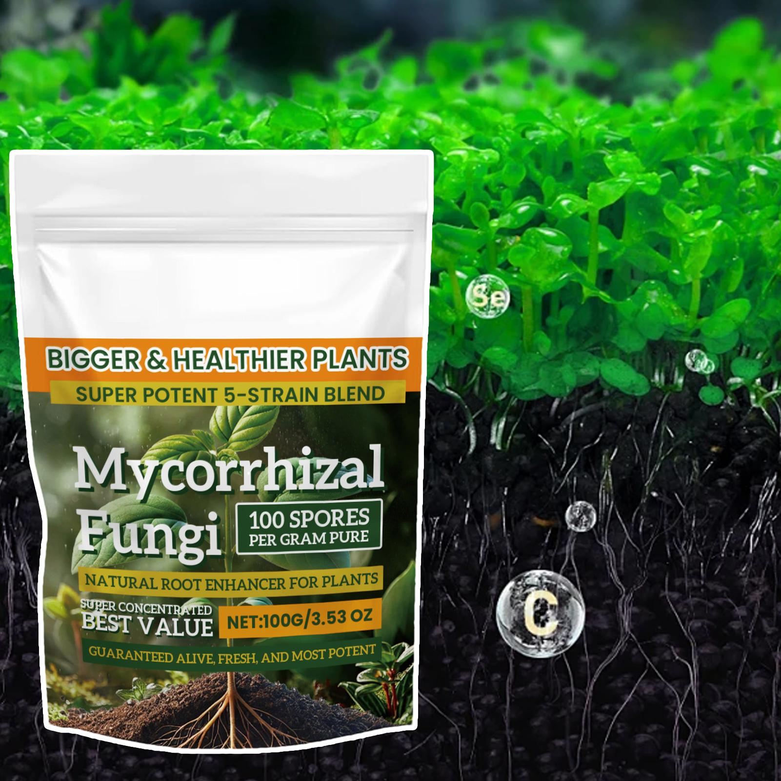 100g Plant Nutrient Powder Pla – Rooting Hormone Powder recenzja i cena