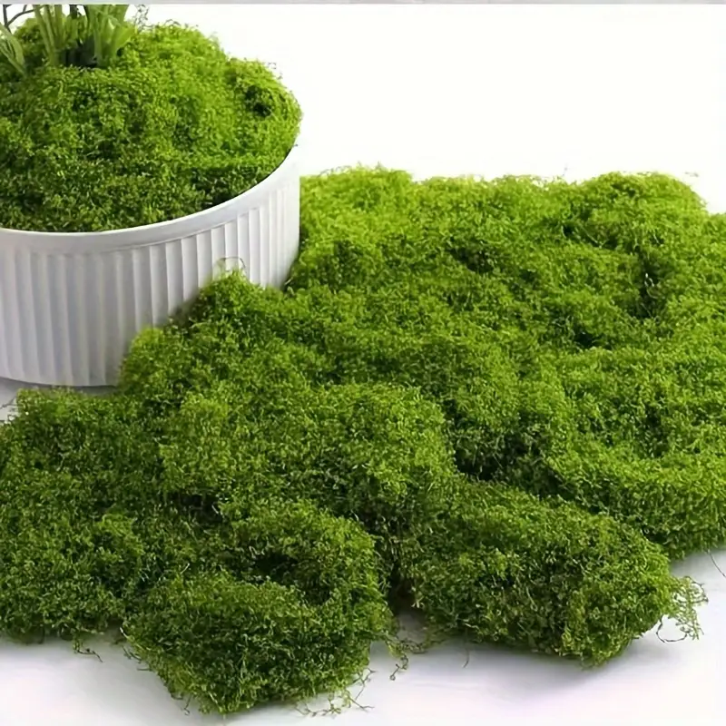 Lifelike Artificial Moss for D – Sphagnum Moss Dry recenzja i cena