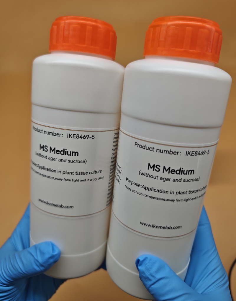 IKEME Lab MS Medium 250g Witho – Agar Tissue Culture recenzja i cena
