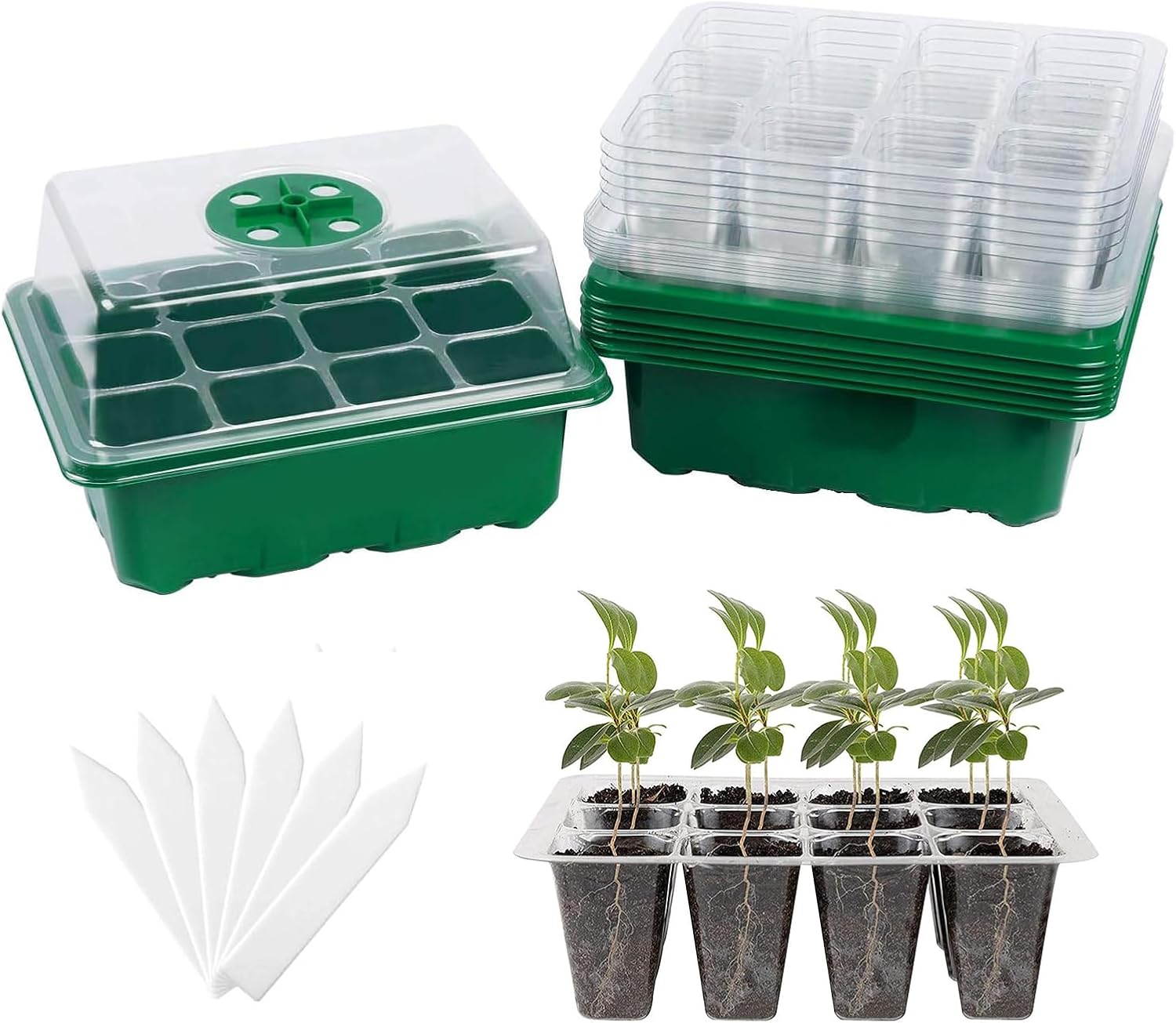 6-Pack Seed Starter Tray with  – Humidity Dome Kit recenzja i cena