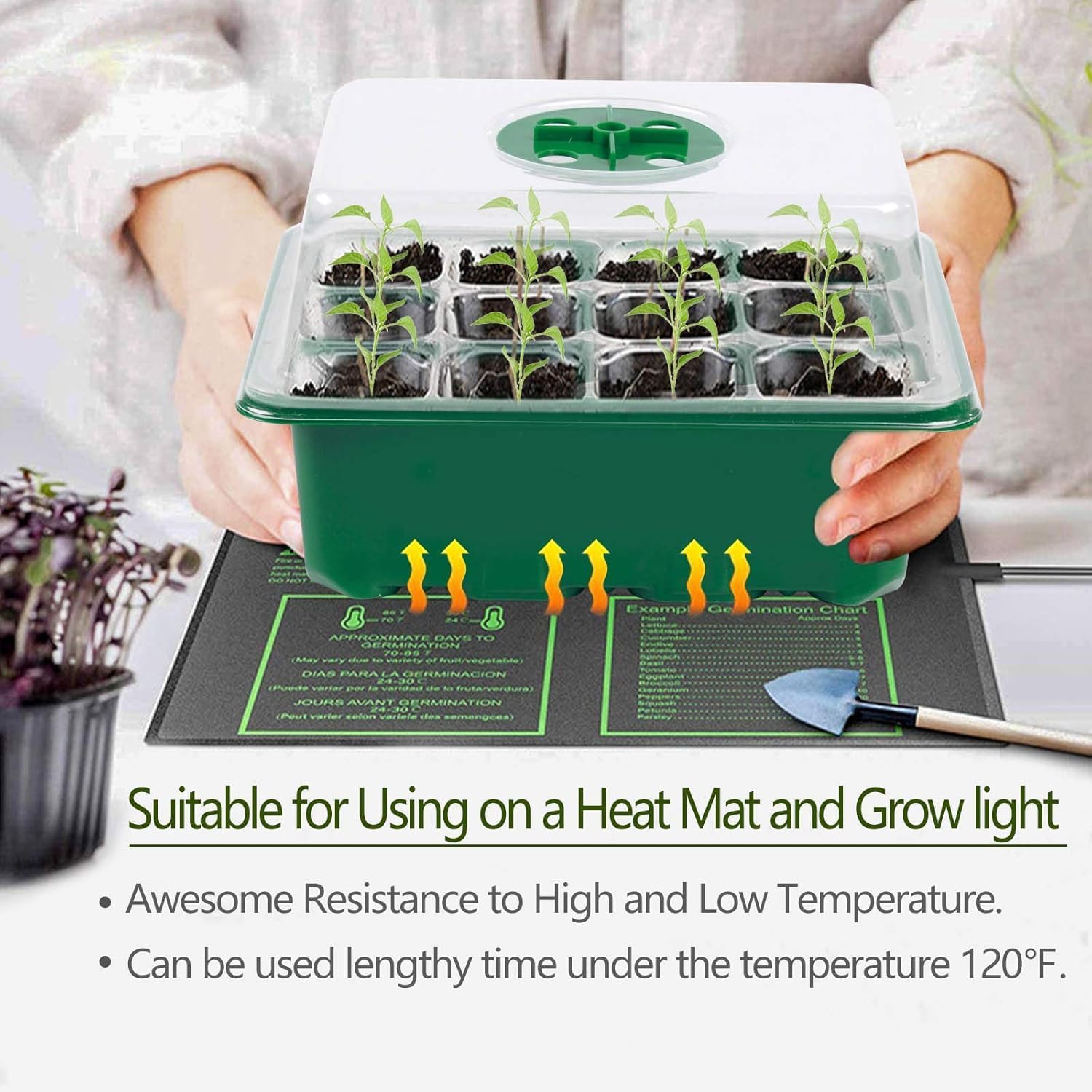 6-Pack Seed Starter Tray with  – Humidity Dome Kit recenzja i cena