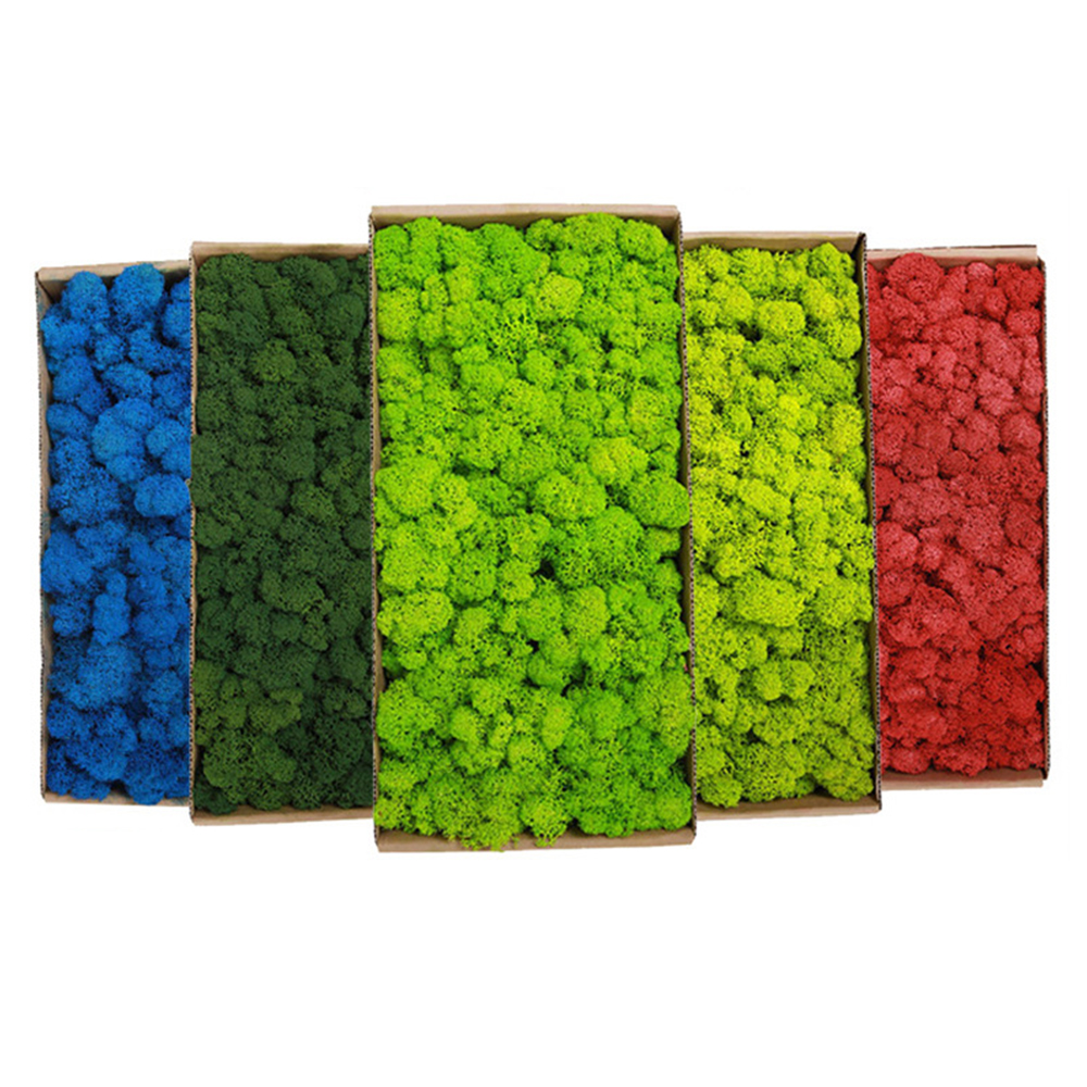 20/80g Eternal Life Moss Grass – Sphagnum Moss Dry recenzja i cena