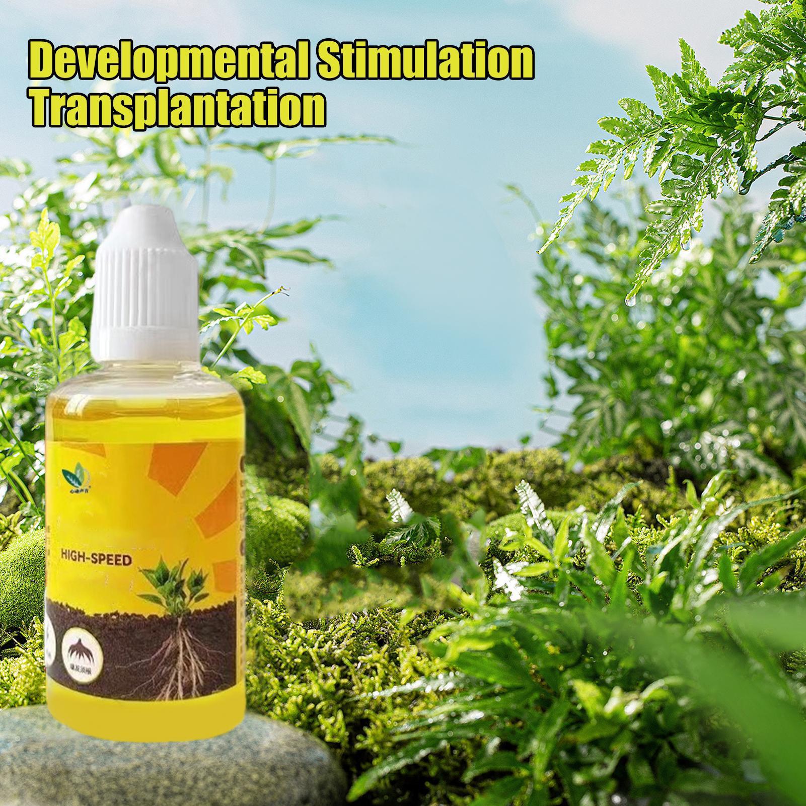 50ml Plant Rooting Stimulator  – Root Stimulator Liquid recenzja i cena