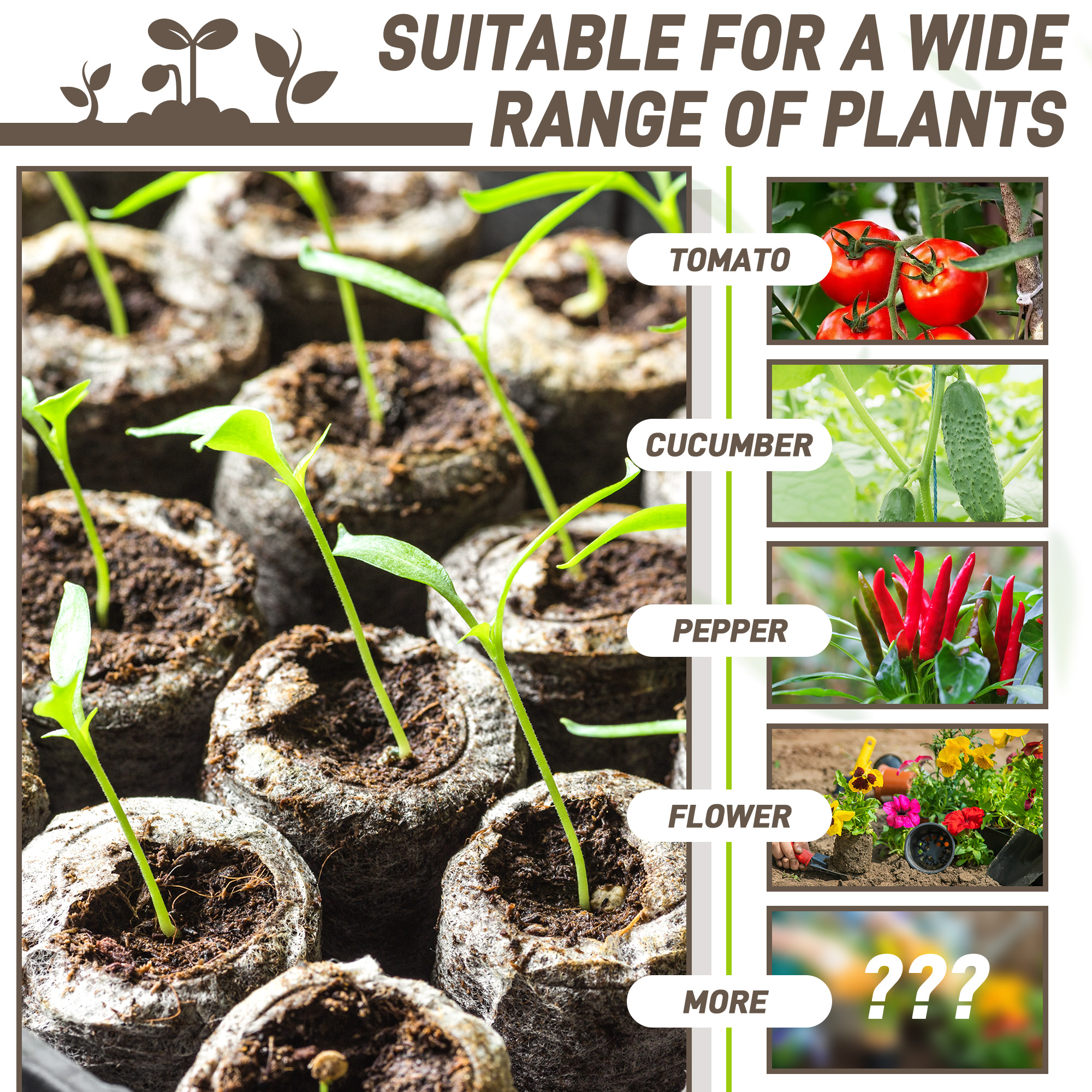 50pcs 35mm Compressed Peat Pel – Peat Pellet Tray recenzja i cena
