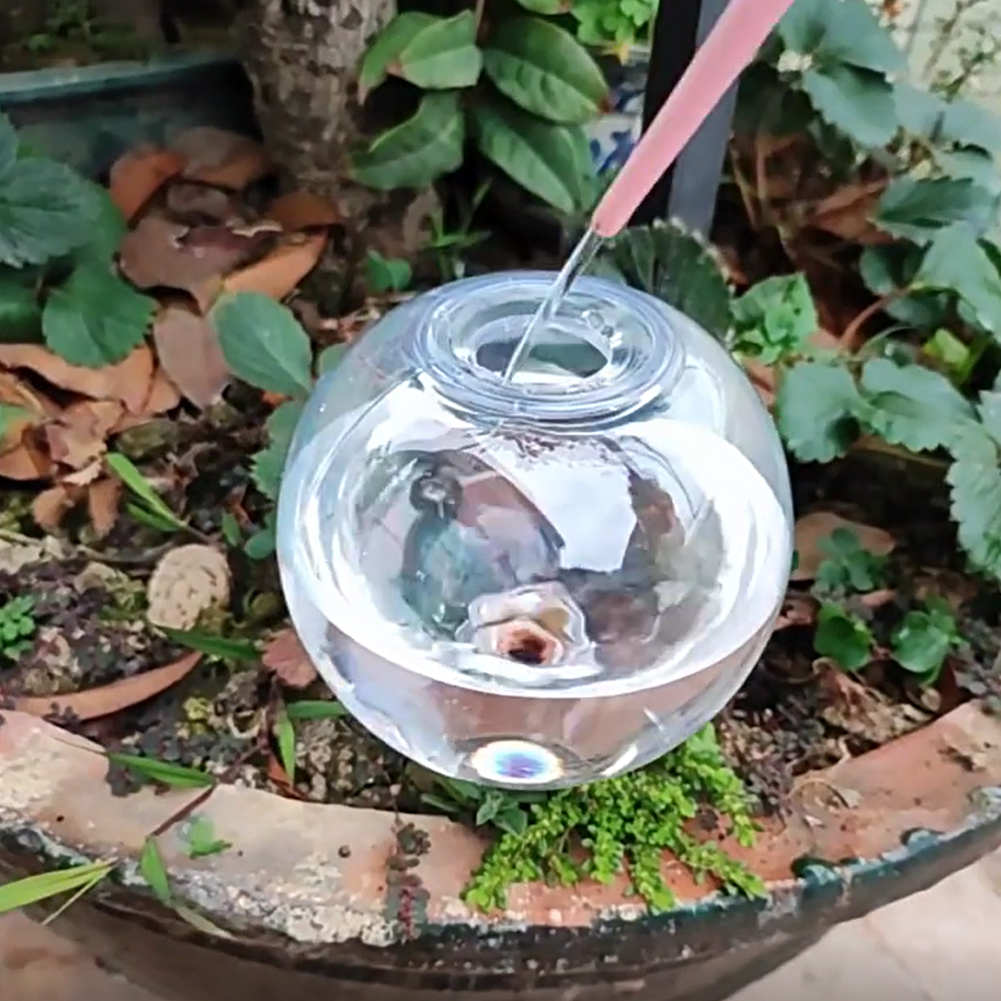 500ML Self Watering Globes Dri – Self Watering Insert recenzja i cena
