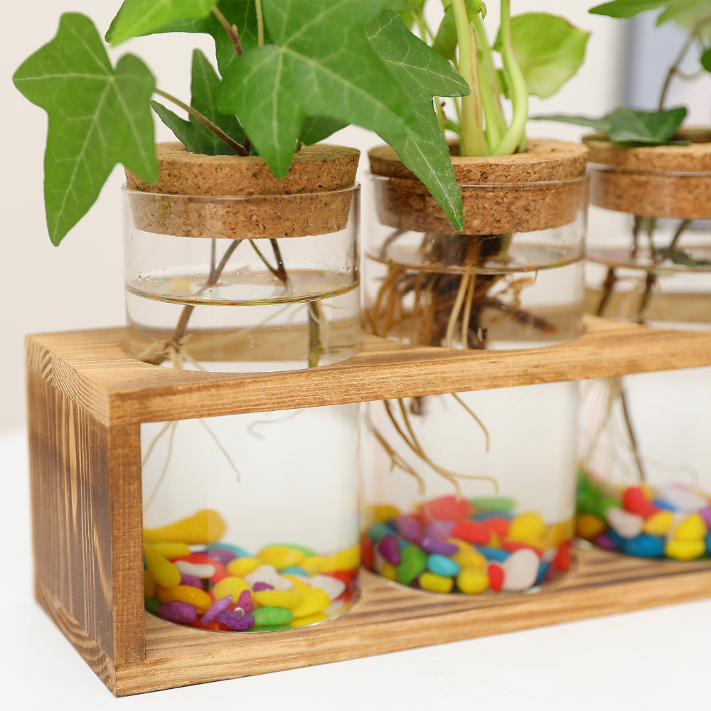 Minimalist Glass Vase with Woo – Propagation Station Vase recenzja i cena