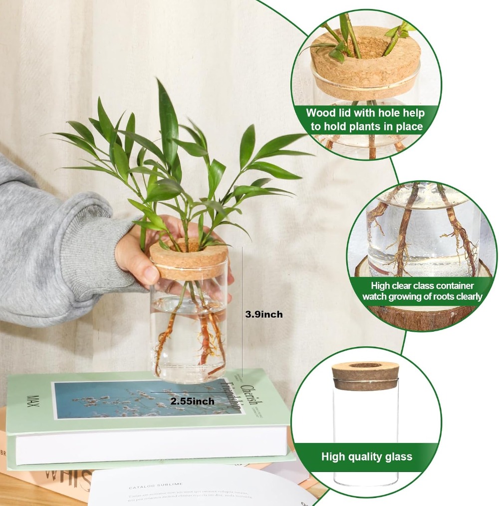 Desktop Glass Flower Vases - I – Propagation Station Vase recenzja i cena