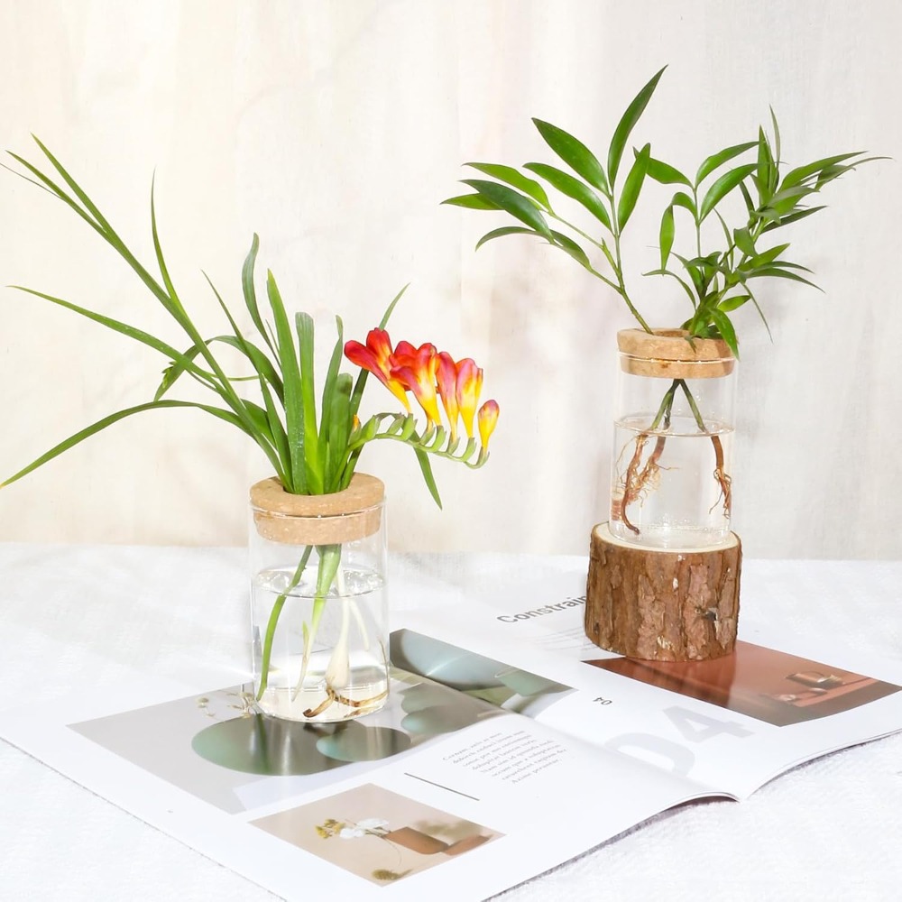 Desktop Glass Flower Vases - I – Propagation Station Vase recenzja i cena