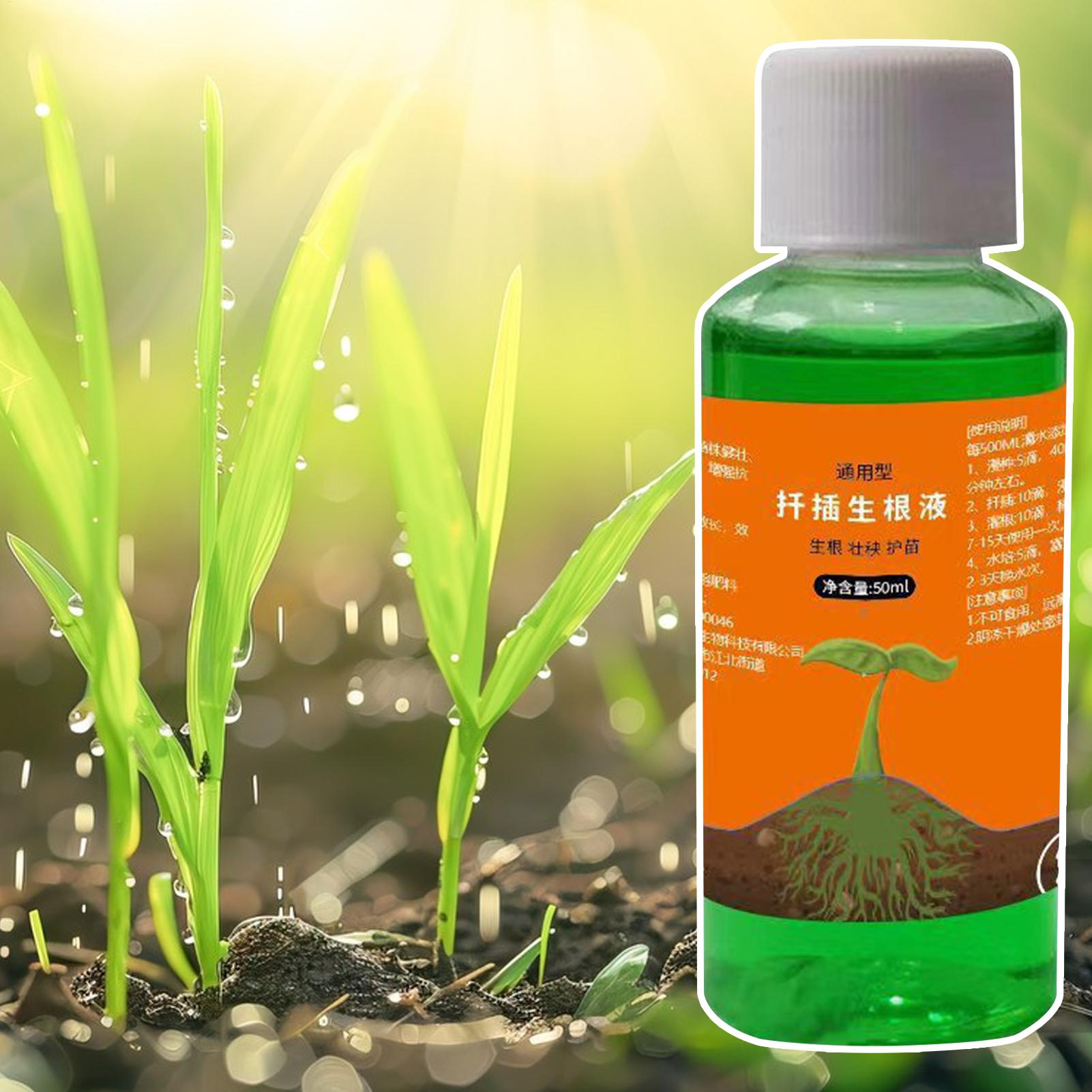 High-Efficiency Root Stimulato – Root Stimulator Liquid recenzja i cena