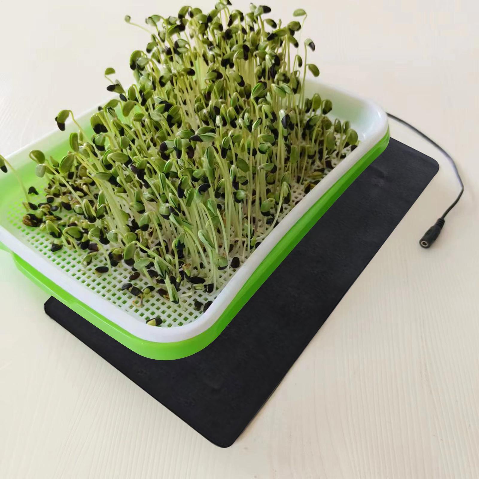 8.5W Seedling Heat Mat 5V 2A P – Heat Mat Seedling recenzja i cena