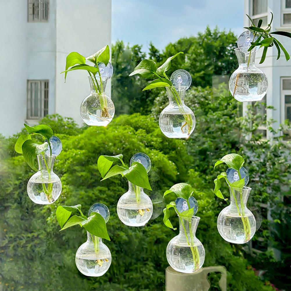 1/2/3/4/6/8Pcs Plant Propagati – Propagation Station Vase recenzja i cena
