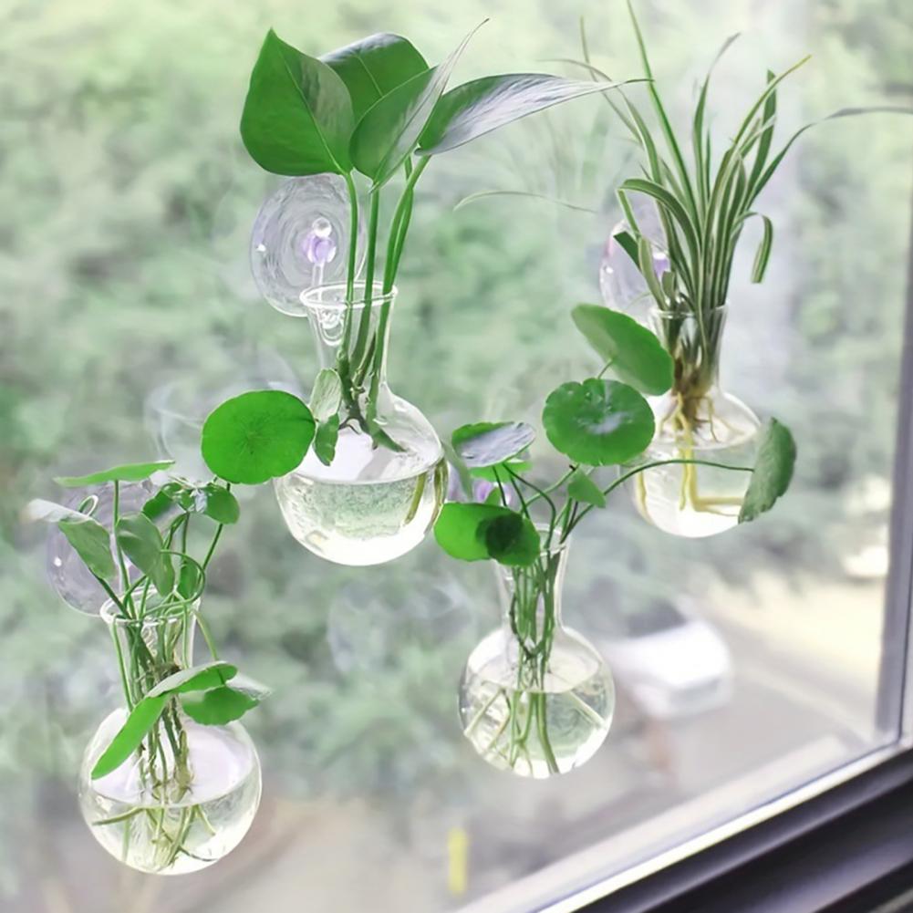 1/2/3/4/6/8Pcs Plant Propagati – Propagation Station Vase recenzja i cena