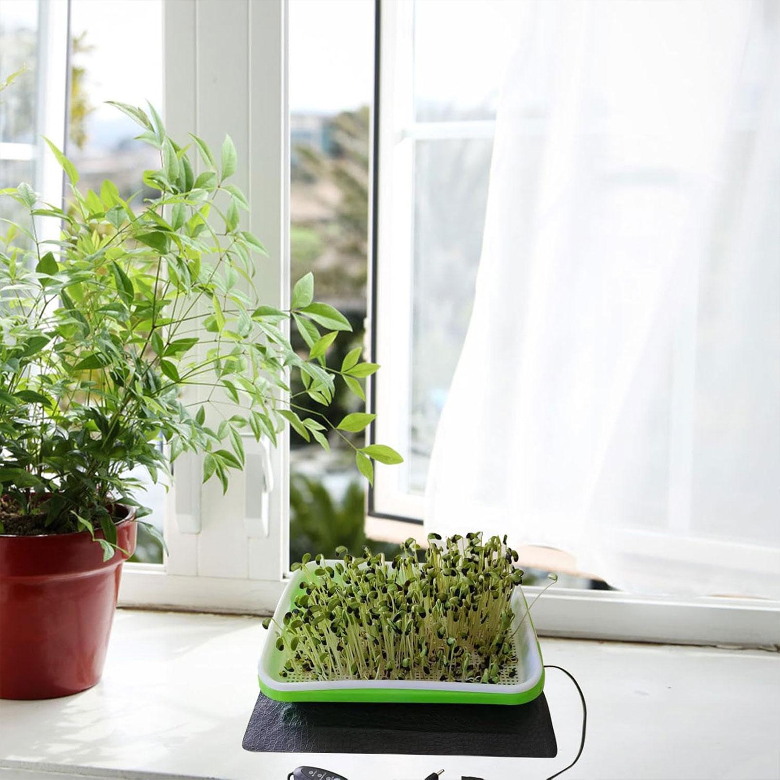 Hydroponic Heat Mat for Seedli – Heat Mat Seedling recenzja i cena