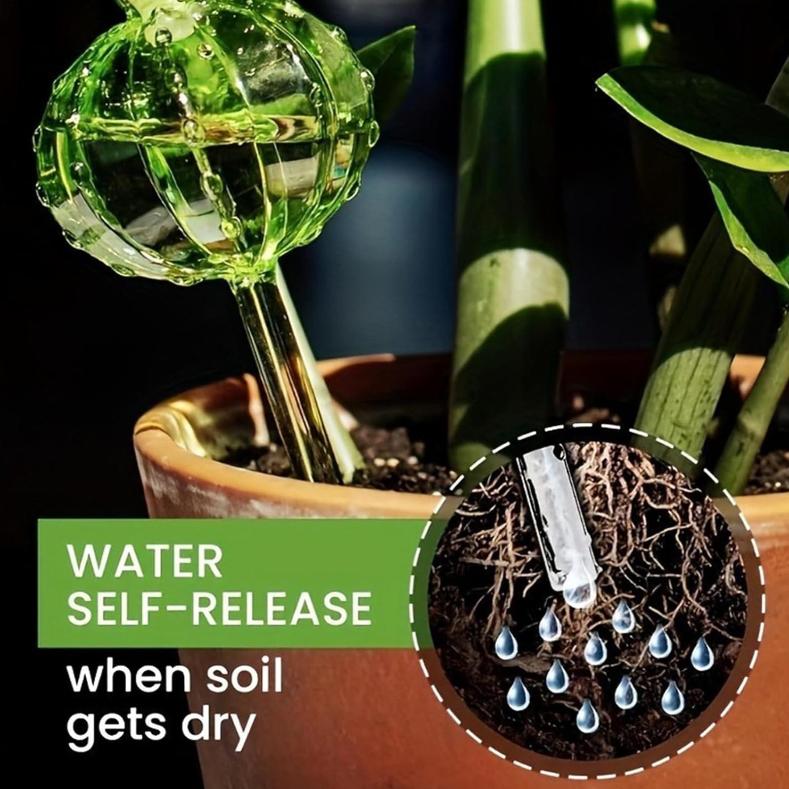 Plant Watering Stakes 3 Pieces – Self Watering Insert recenzja i cena