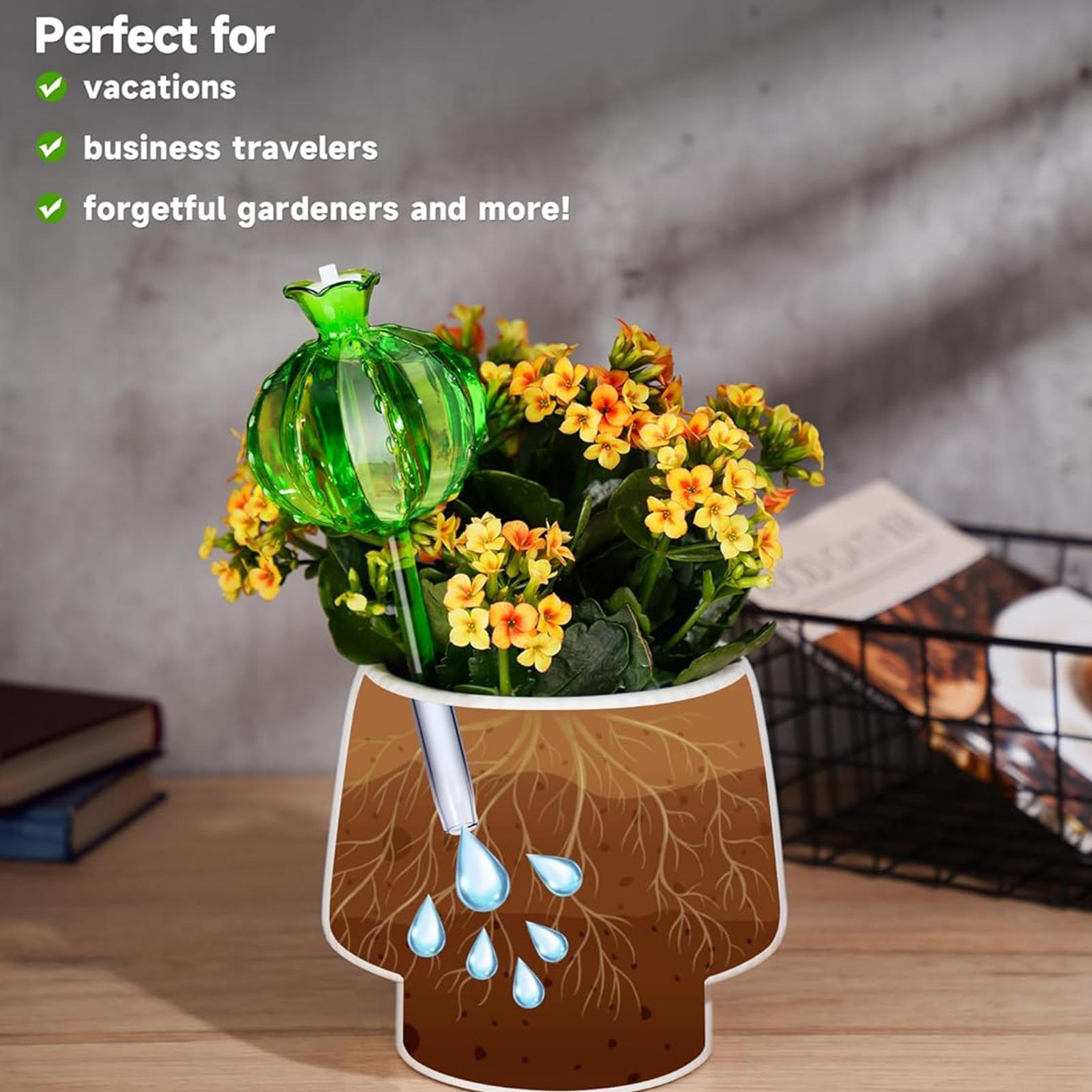 Plant Watering Stakes 3 Pieces – Self Watering Insert recenzja i cena